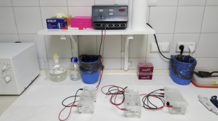 Yatay Elektroforez Sistemi