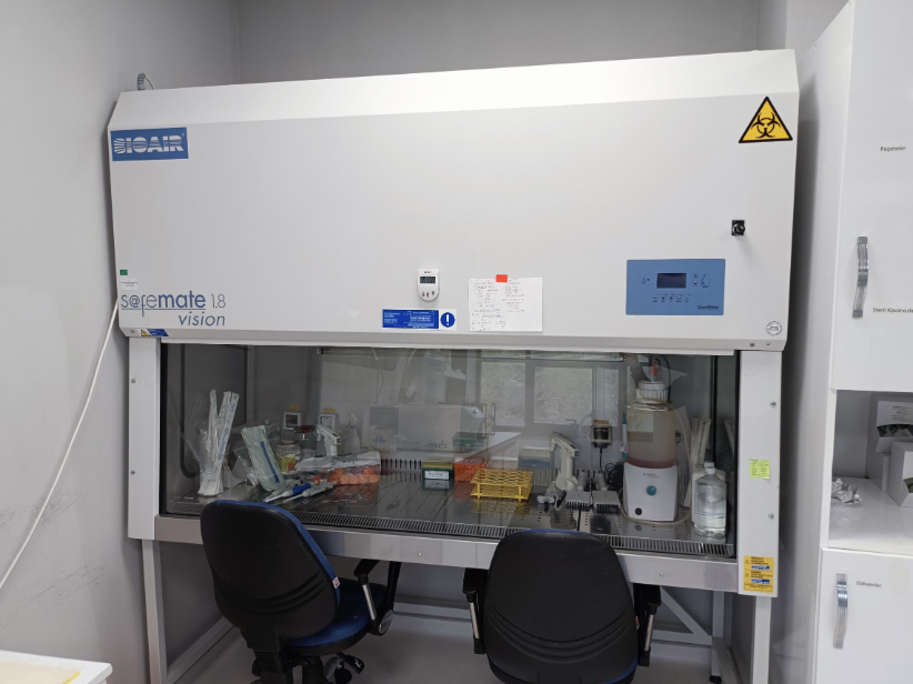 Laminar Air Flow (Steril Hava Kabini, Class II)