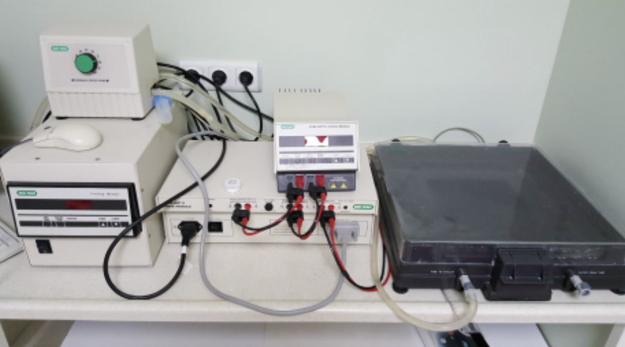Pulsed-field Jel Elektroforez Sistemi