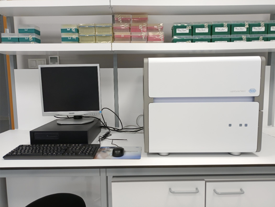 Real-Time PCR Cihazı